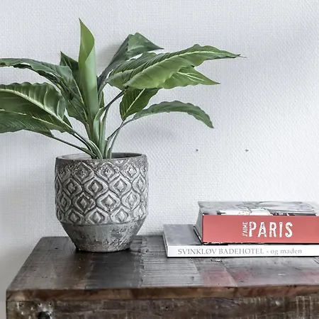 Charming In Gothersgade Apartman